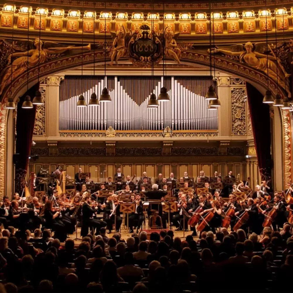 Dacă muzica, teatrul și magia spectacolelor live sunt sufletul...