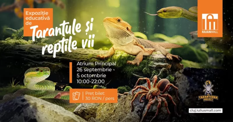 Expoziție șerpi și tarantule vii -1