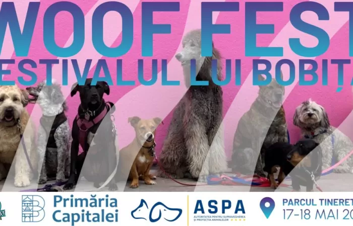 4-WOOF-Fest-–-Festivalul-lui-Bobița-