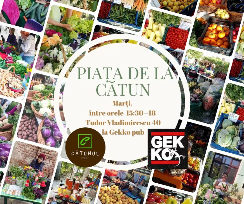 Piața de la Cătun Oradea-1