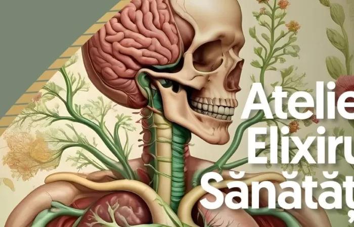 9-Atelier--Elixirul-Sanatații--