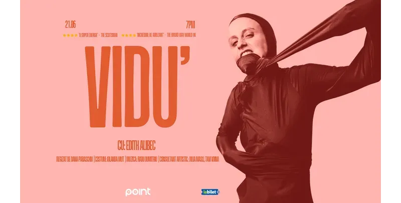 VIDU'-1