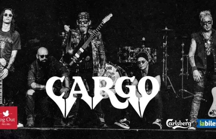 8-Baia-Mare--Cargo-•-Log-Out