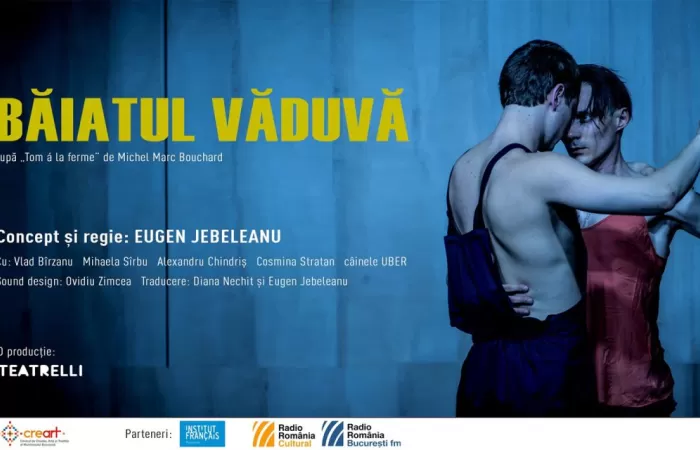 23-Baiatul-Vaduva-