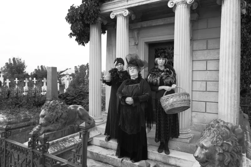 Gaițele – memento mori -1