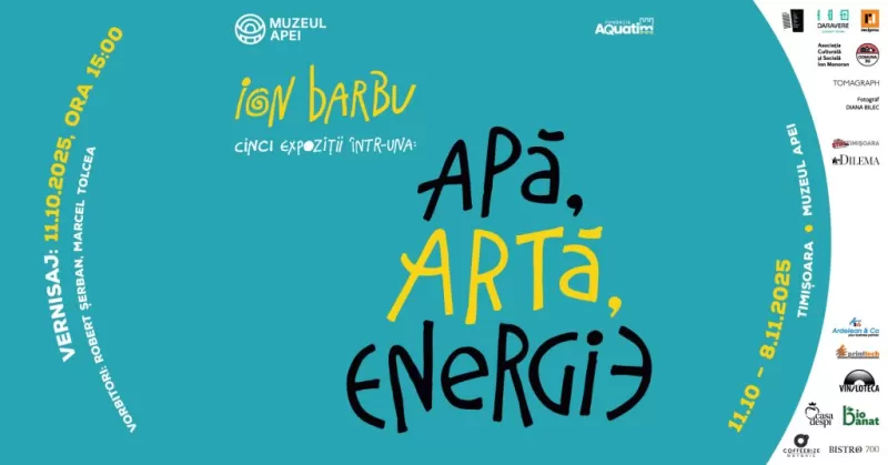 Ion Barbu – Apă, Artă, Energie -1