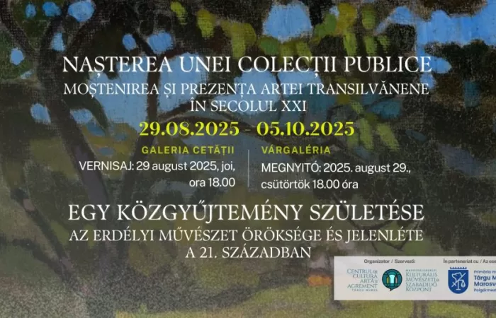 11-Nașterea-unei-colecții-publice-