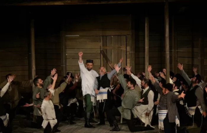 8-Scripcarul-pe-acoperiș-