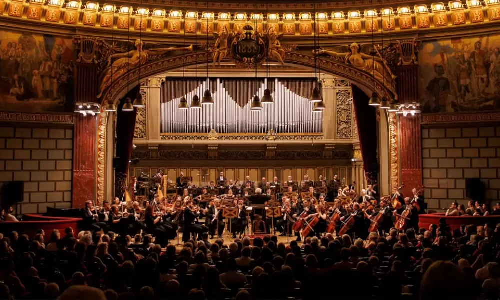 Dacă muzica, teatrul și magia spectacolelor live sunt sufletul...