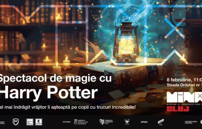 12-Spectacol-de-Magie-cu-Harry-Potter