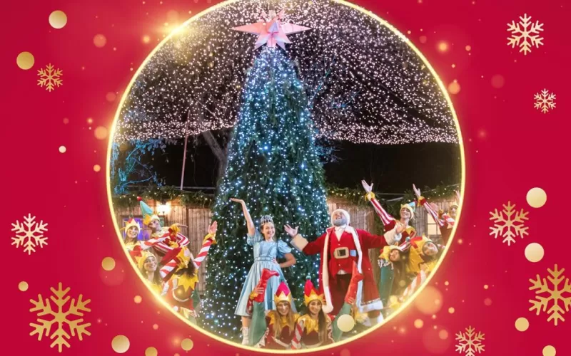 Poveste de Crăciun -1