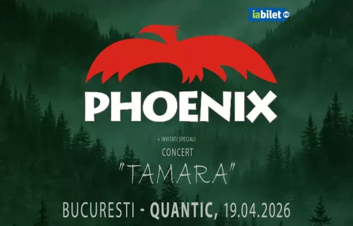 12-Concert-Phoenix---