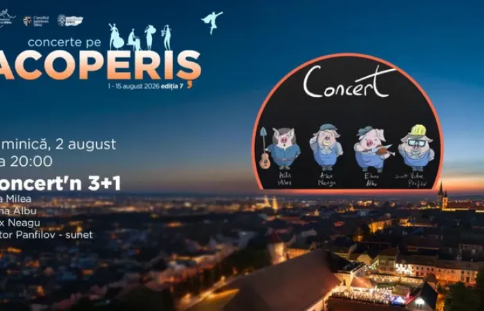 19-Sibiu--Concert-n-3-1-cu-Ada-Milea---Friends