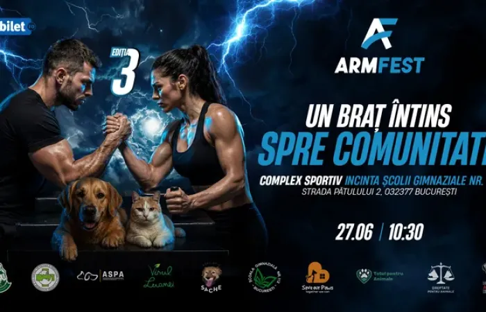 10-ARMFEST---Editia-a-III-a---Un-brat-intins-spre-comunitate-