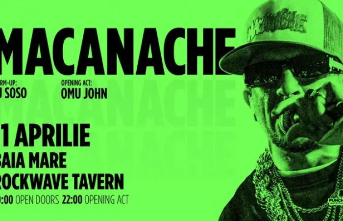 10-Baia-Mare--Concert-Macanache