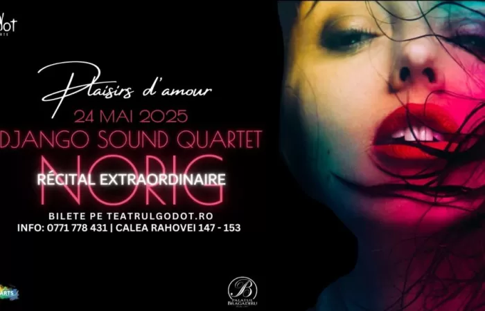 13-Norig---Django-Sound---Plaisir-d-amour-