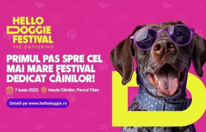 19-Hello-Doggie-Festival--The-Gathering-