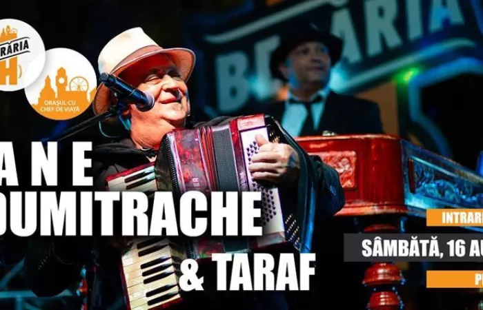 2-Fane-Dumitrache---taraf-#PeTerasa-