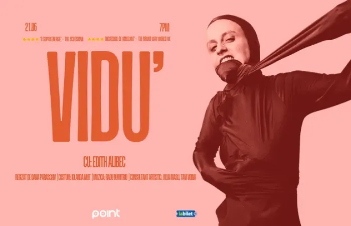17-VIDU-