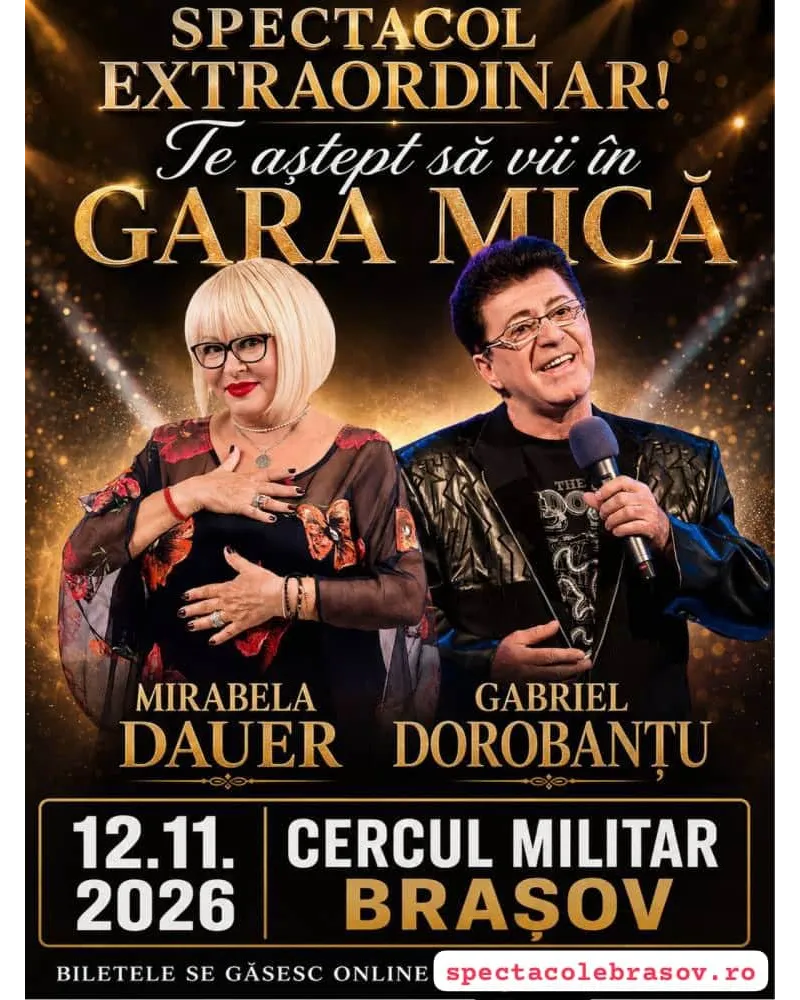 Te astept sa vii in gara mica-1