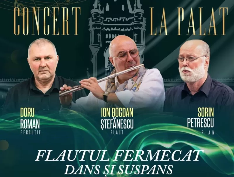 Flautul Fermecat | Ion Bogdan Ștefănescu, Sorin Rotaru și Doru Roman -1
