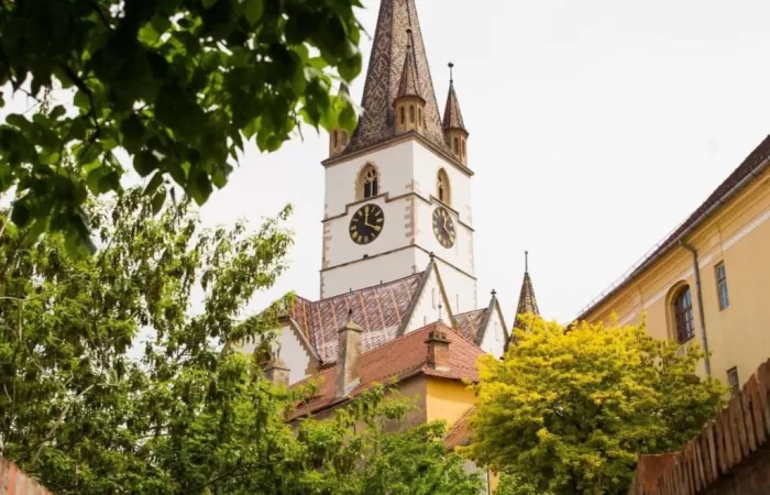 3-Expozitia--130-Școala-de-la-Baia-Mare--1896-2026--–-Focus-Jozsef-Klein-