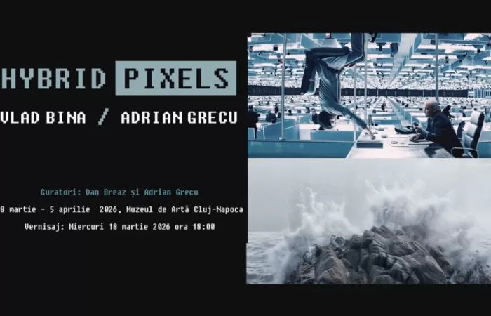 18-Vlad-Bina--Adrian-Grecu--Hybrid-Pixels-