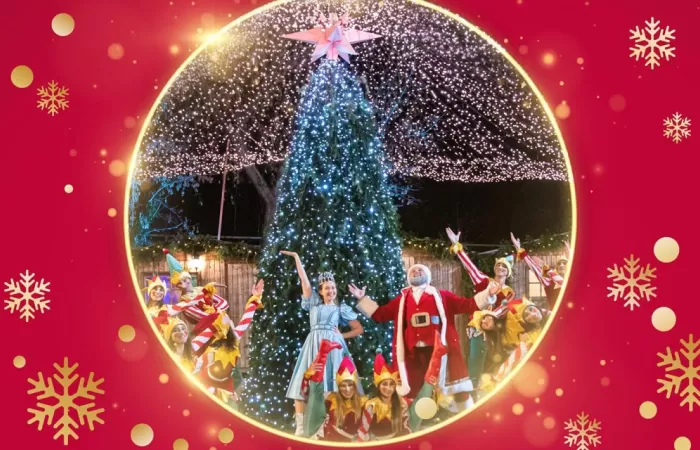 14-Poveste-de-Craciun-