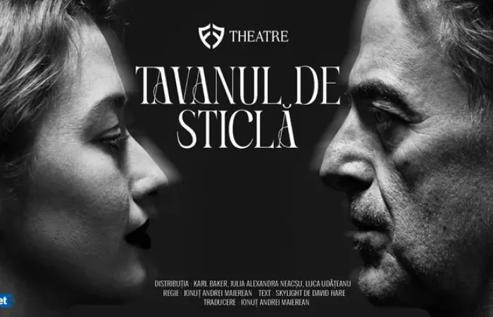 6-Tavanul-de-sticla
