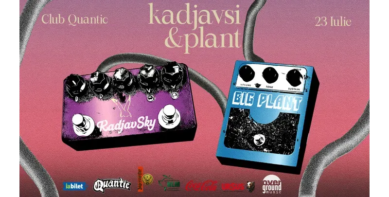 Concert Kadjavsi & Plant-1
