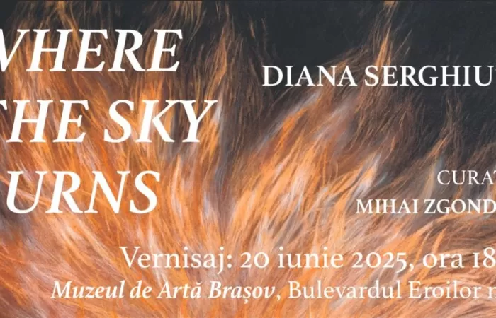11-Where-the-Sky-Burns-