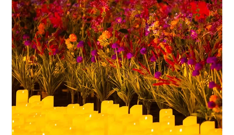 Candlelight: Cele mai bune melodii din Bridgerton pe acorduri de vioară și violoncel -1