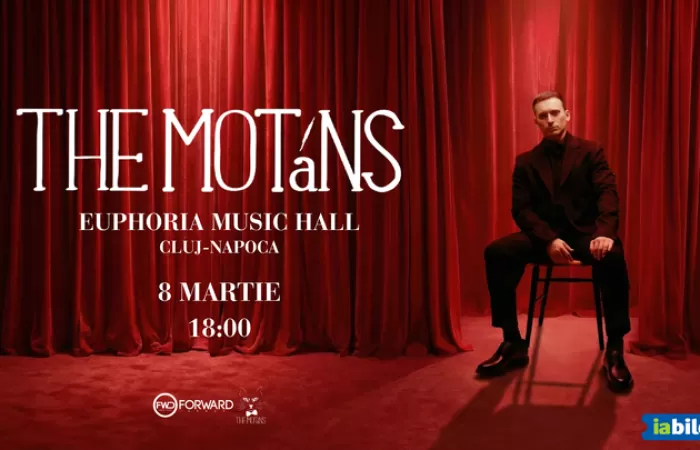 13-Cluj-Napoca--The-Motans