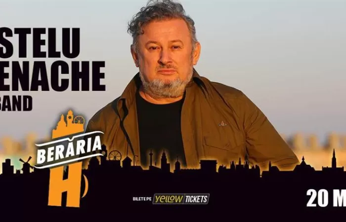 14-Stelu-Enache---Band-