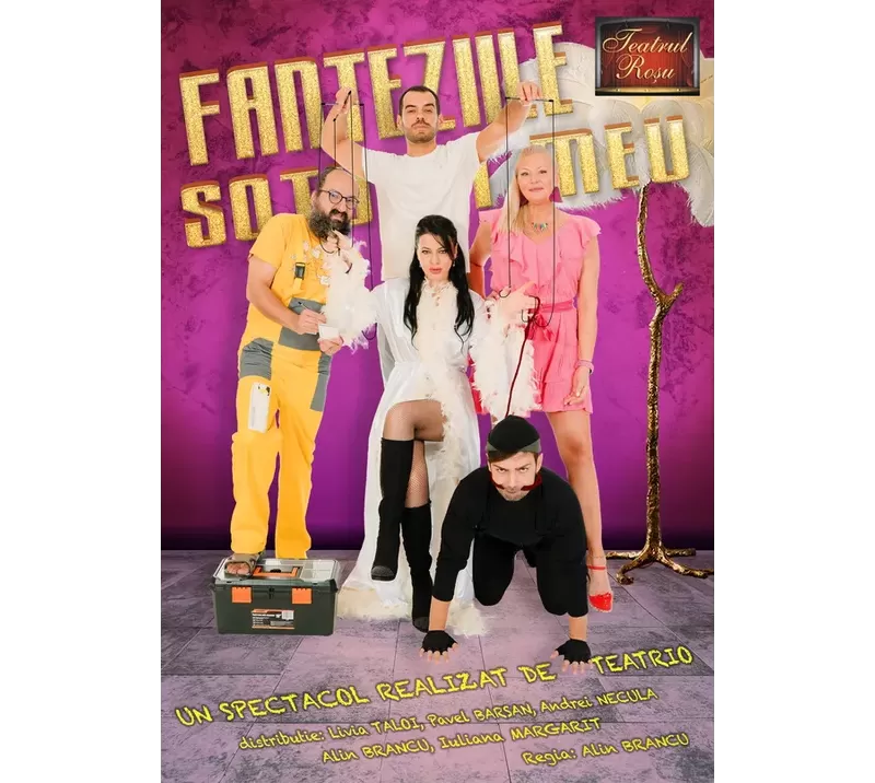 Fanteziile soțului meu-1