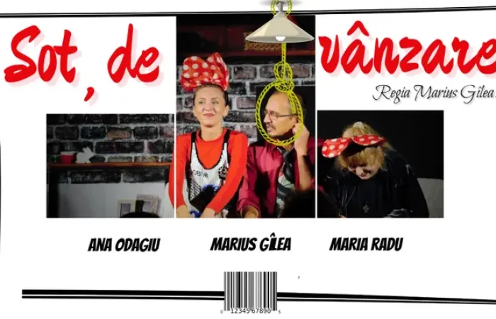 20-Sot-de-vanzare
