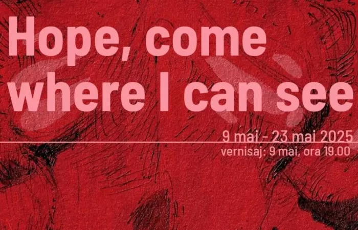 12-Expoziția--Hope--come-where-I-can-see--