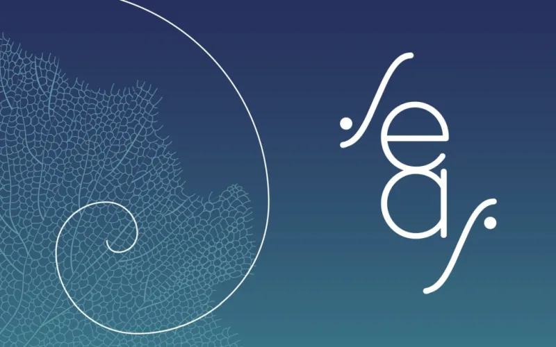 SEAS – Stagiunea Estivală a Artelor Spectacolului 2026-1