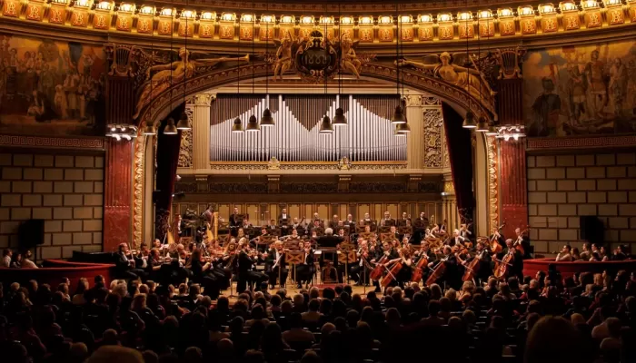 Dacă muzica, teatrul și magia spectacolelor live sunt sufletul...