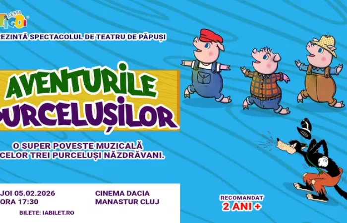 4-Cluj-Napoca--Aventurile-purcelusilor