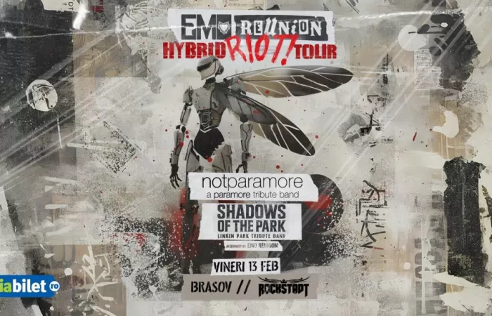 15-Hybrid-Riot--Tour-–-Emo-Reunion--notparamore--Shadows-of-the-Park-