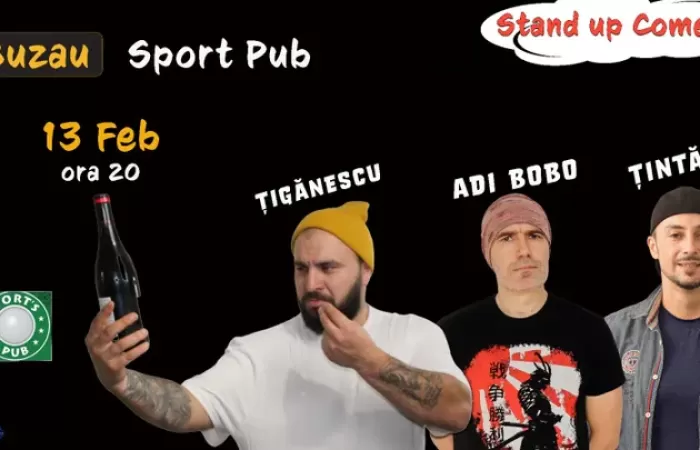 19-Buzau--Stand-Up-Comedy-cu-Tinta---Bobo-si-Tiganescu
