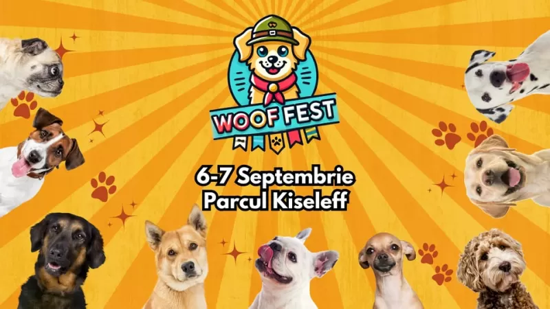 Woof Fest | Festivalul lui Bobiță -1