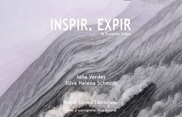 2-Inspir--Expir--Ruxandra-Simion--