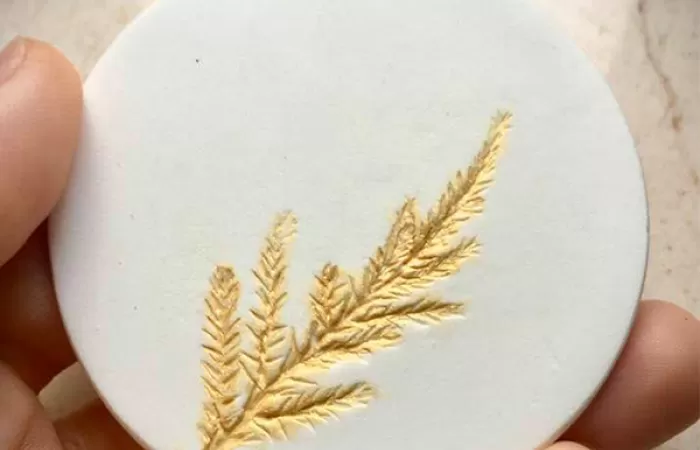 15-Arta-imprimarii-plantelor-