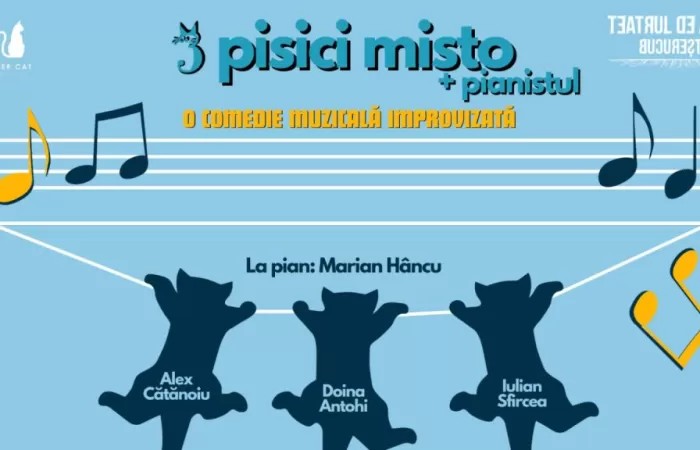 15-Trei-Pisici-Mișto---pianistul-
