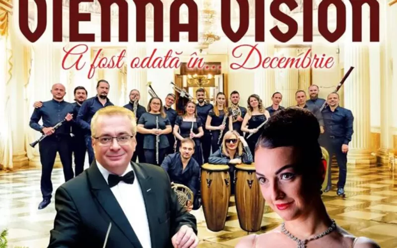 Vienna Vision – A fost o dată în decembrie -1