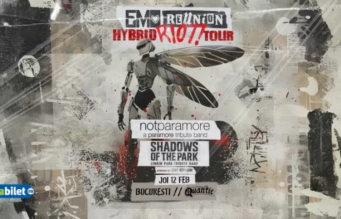 19-Hybrid-Riot-Tour---Emo-Reunion---notparamore---Shadows-of-the-Park