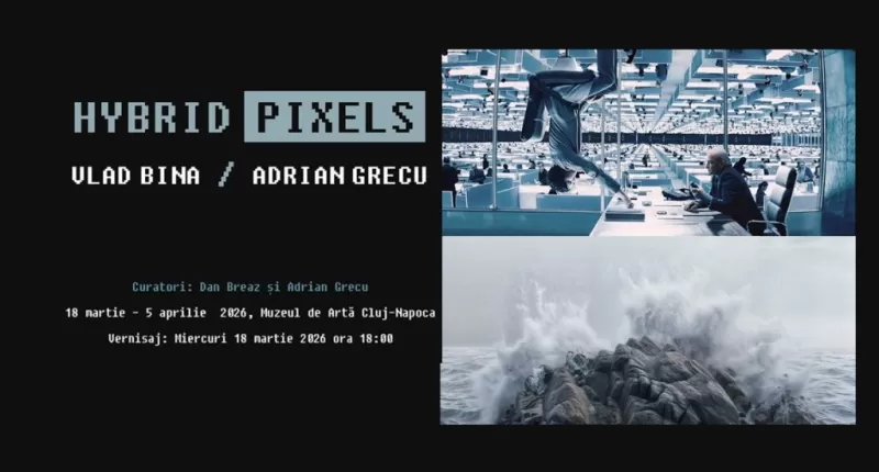 Vlad Bina/ Adrian Grecu. Hybrid Pixels -1
