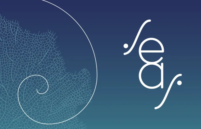 20-SEAS-–-Stagiunea-Estivala-a-Artelor-Spectacolului-2026